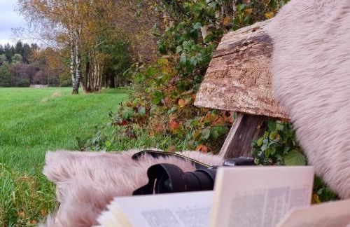 Holiday Home Luxuszeit zu Zweit by Interhome - Foto 36