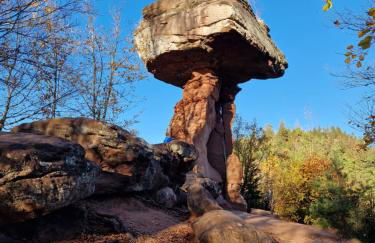Ferienwohnung Waldliebe Hinterweidenthal - Foto 13
