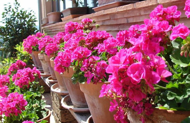 Agriturismo Terrasabina - Foto 66