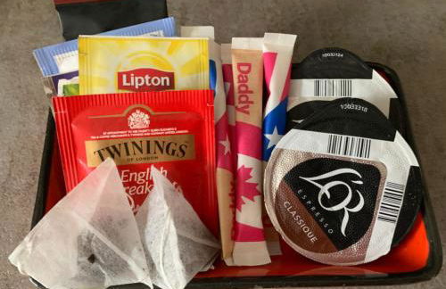 Le repos des escargots - Appartement 3 étoiles - label Qualidog - 1 à 6 personnes avec jardin ombragé et aménagé - Photo 9