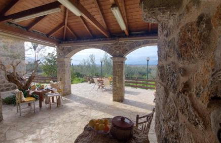 homonatura petrinum - Foto 13