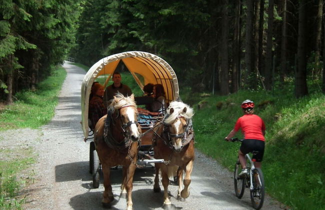 Holiday Apartment Old Town for Family - Foto 24