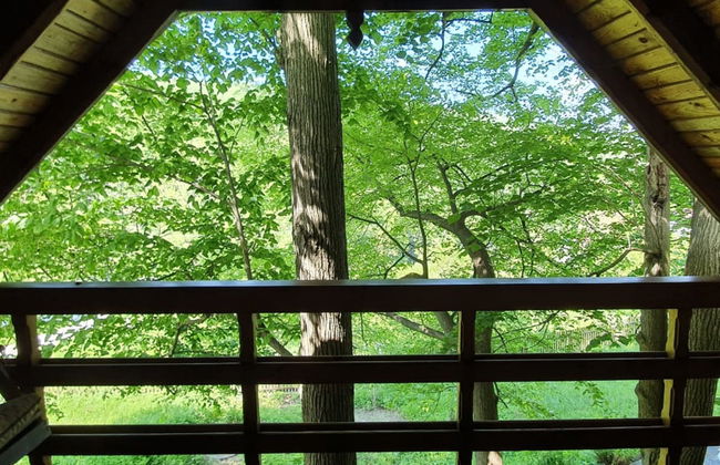 5 bedroom House in Laskowa with garden and terrace - Photo 25