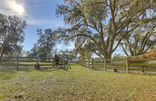 Morriston Studio 13 Mi to World Equestrian Center - Foto 21