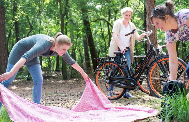 Holiday Home Near De Biesbosch & Breda - Photo 28