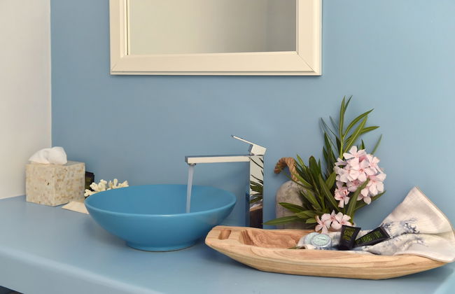 Ambassador Luxury Villas - Photo 65