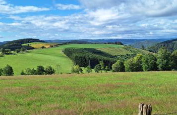 Landhaus Gnacke - Foto 29