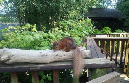 'Monktonmead Lodge' in secluded setting, with private indoor pool. - Photo 42