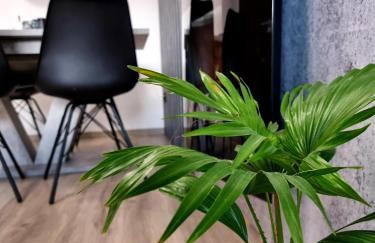 Apartament Jelonek w Karkonoszach - Foto 21