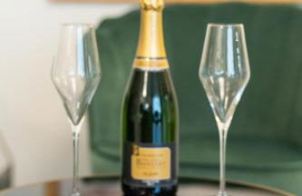 Résidence Champenoise Lancelot Rouyer ST RÉMY - Foto 24