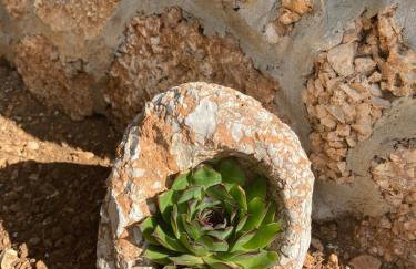 Casa Fortuna - Photo 14