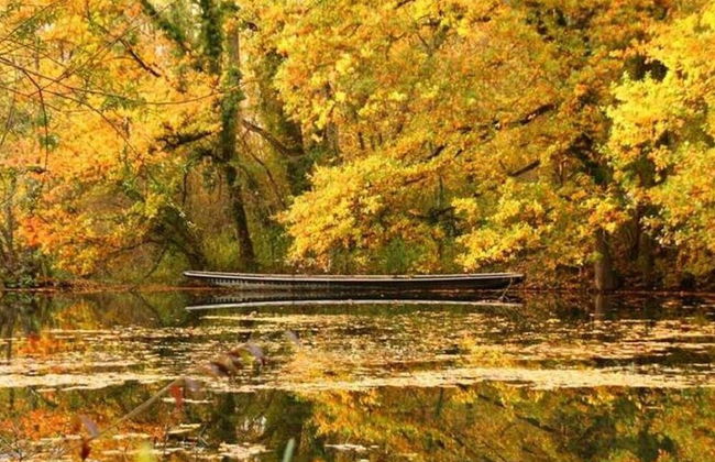 Ferienwohnung in Bischoffingen - Foto 25