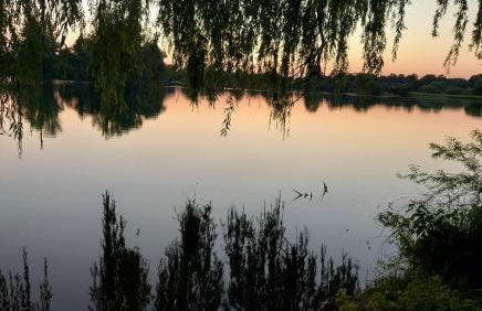 Messezimmer Laatzen APO 2 - Foto 15