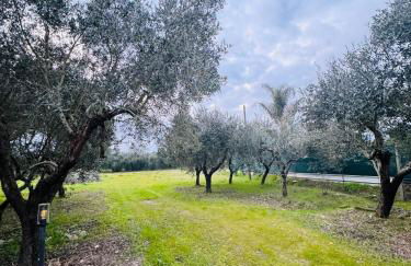 La Perla di Dea - Foto 33