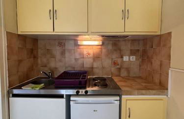 StudiosMichel apt 14 terrasse thermes 400m à pied - Photo 8