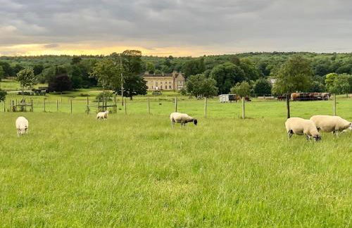 Moo Cow Cottage Self Catering - Photo 5