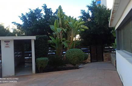 Loyito's seaviews apartment La Cala - Photo 27