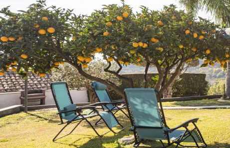 Villa Laura - Foto 44