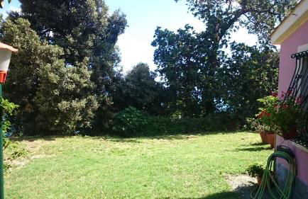 Villa Venino - Foto 22