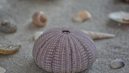 Apartment Nadoveza - Foto 5