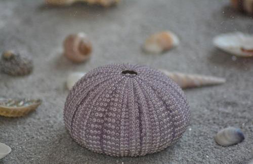 Apartment Nadoveza - Foto 5