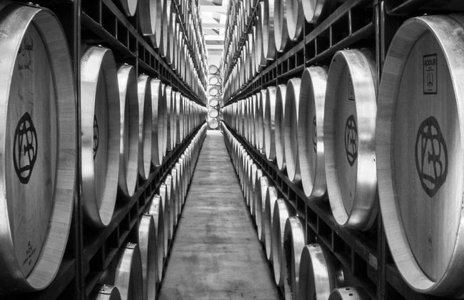 Visite du domaine Altanza - Photo 11
