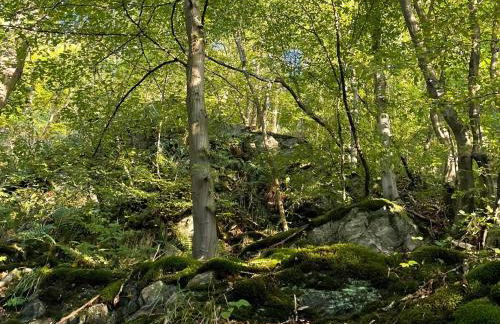 Ferienhaus Blauvogel 19 - Foto 16