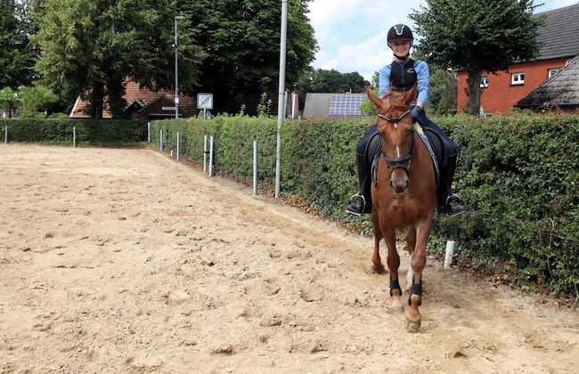 Apartment in Strackholt - Photo 27