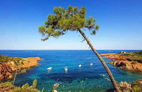 Cap Esterel - Charmant T2 climatisé vue mer 4/5 pers - Piscine - Parking - Foto 22