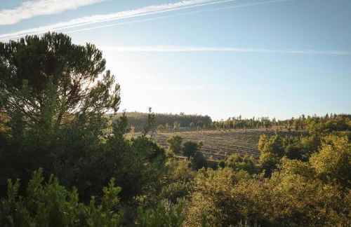 I Love Dão - Casas Da Fraga - Foto 54