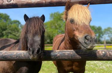 L'atelier, dépendance de charme, Ste Mère Église - Foto 9