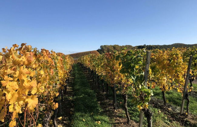 Holiday Apartment Oasis - Foto 17