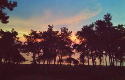 Nisteri Seaside - Photo 41