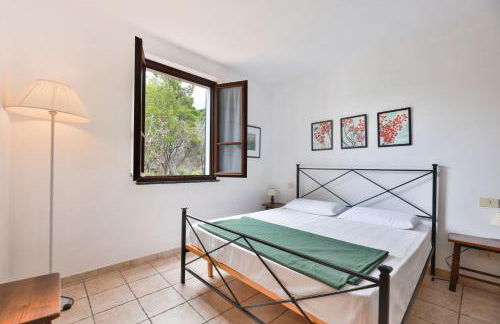 Cotoncello in una posizione panoramica - Goelba - Foto 9