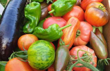 Le Refuge des Chouettes - Foto 28