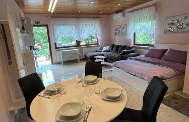 Studio apartman Anita - Foto 1