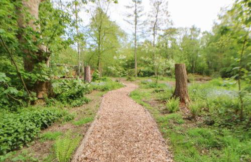 Bracken Fern - Photo 26