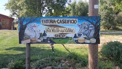 Agriturismo La Valle degli Ulivi - Foto 2