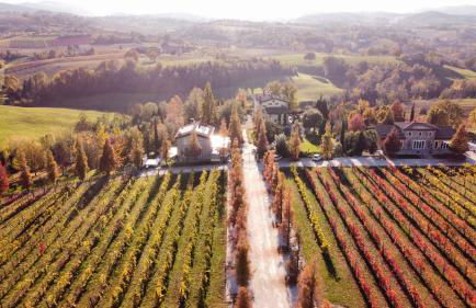 Agriturismo e Acetaia la Vedetta - Photo 1