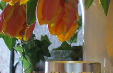 Mountain Lodge - Foto 15