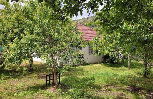 Casa Loureira - Ribeira Sacra - Foto 23