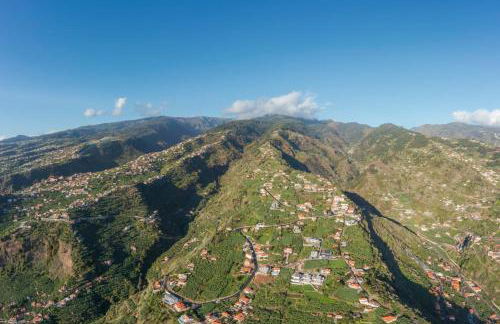 Villa Candelária by An Island Apart - Photo 63