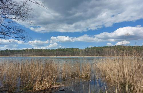 Domek Letniskowy na Mazurach - Foto 19