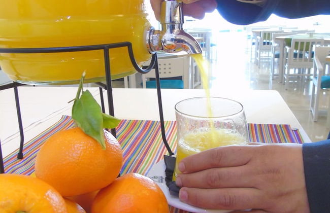 Aparthotel Fontanellas Playa - Foto 54