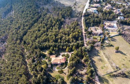 Le ginestre - Foto 9