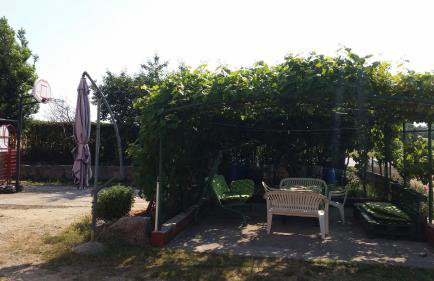 Apartments Davor - Photo 24