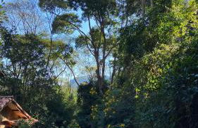 Chalé Laranja - Sítio Caldeirão - Foto 51