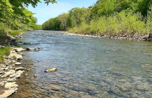 Modern Catskills Retreat with Creek & Fire Pit - Foto 29