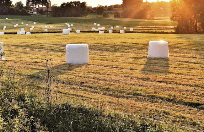 4 Person Holiday Home in Trelleborg-by Traum - Foto 12