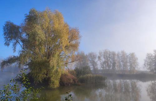 Gniazdo w Felicjanowie - Foto 67